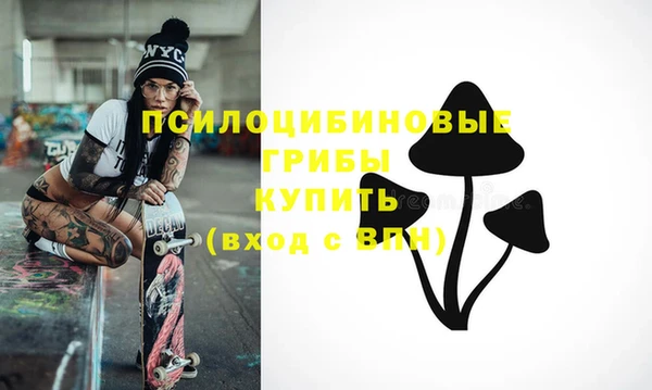 ПСИЛОЦИБИНОВЫЕ ГРИБЫ Богородск