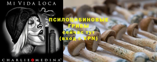 стаф Аркадак