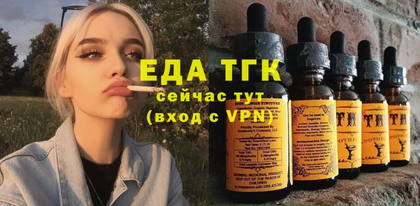 спиды Богородицк