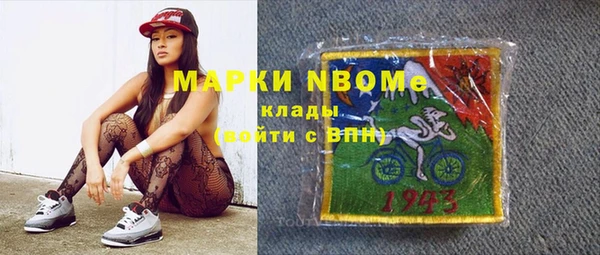 спиды Богородицк