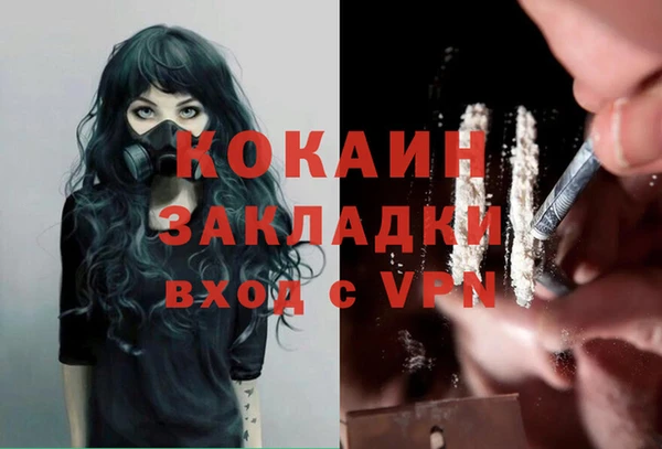 спиды Богородицк