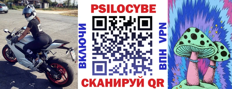Галлюциногенные грибы Psilocybine cubensis  Коломна 